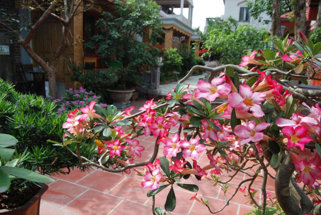 Готель Tam Coc Tropical Garden Ніньбінь Екстер'єр фото